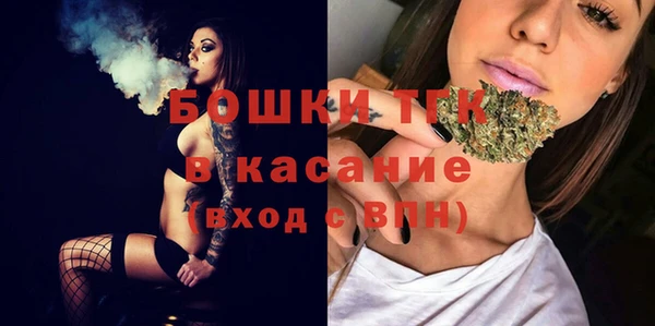 трава Медвежьегорск