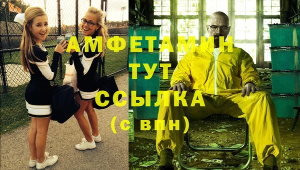 трава Медвежьегорск